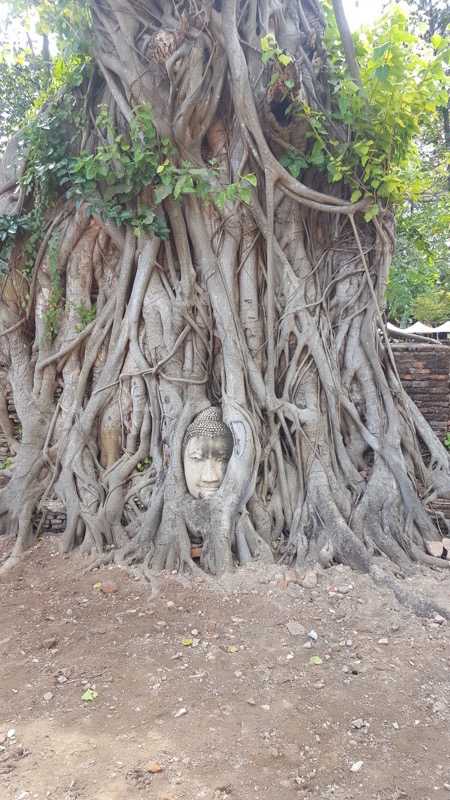 Ayutthaya